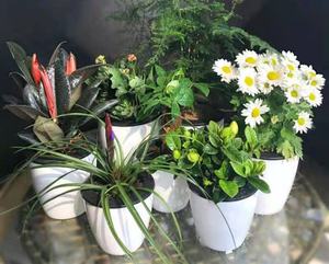 Pot de fleurs auto-arrosant coloré, pot de plante auto-arrosant pour jardin extérieur, haute qualité, blanc moderne, support de plante, finition lisse et brillante - Product Image 5