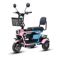 Tricycle électrique Paige pour adultes, véhicule pour animaux de compagnie, vélo pour enfants, tricycle motorisé 800W Roadster 3 roues, moto cargo T-rex