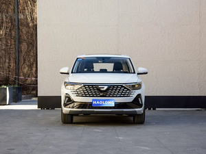 รถเชื้อเพลิงนวัตกรรมรถเบนซินล้ำสมัยสำหรับรถพลังงาน VS7 Jetta - Product Image 6