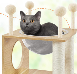 Nichoir simple en bois pour chat, toutes saisons, respirant et résistant à l'humidité, arbre à chat - Product Image 3