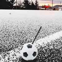 Bouteille d'eau réutilisable en plastique PP en forme de ballon de football, 15 oz, avec couvercle et paille, sûre, anti-corrosion, qualité alimentaire, unisexe, idéale pour les fêtes