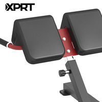 Équipement de gymnastique à domicile professionnel nouveau Design Extension du dos banc et support en métal de fitness commercial musculation utiliser la salle de sport à la maison