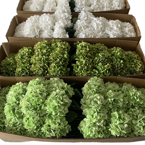 Vente en gros <span class=keywords><strong>de</strong></span> grandes têtes d'hortensias artificiels modernes faits à la main en soie verte, à tige unique, pour la décoration <span class=keywords><strong>de</strong></span> mariages, <span class=keywords><strong>de</strong></span> maisons et <span class=keywords><strong>de</strong></span> fêtes - Product Image 1
