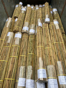 Estacas de Bambú Agrícolas Naturales al por Mayor, Cañas Ecológicas para Soporte de Plantas de Jardín, para Viveros, Granjas y Viñedos en Vietnam - Product Image 4