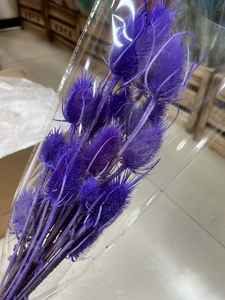 Tiges de chardon (Eryngium) séchées et préservées, fleurs séchées faites à la main, longue durée (3-5 ans), pour la fête des mères, la remise des diplômes, le Nouvel An - Product Image 2