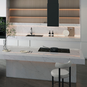 TMZ ODM/OEM - Losa de Piedra Artificial Pulida Moderna 5021, Cuarzo Alasky, Modelo 3D para Encimeras de Cocina, Hoteles e Interiores Comerciales - Product Image 1