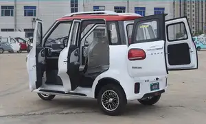 Hot Selling New Fully Enclosed Convertible Enclosed Electric Tricycle Affordable New Car For Passenger Transportation