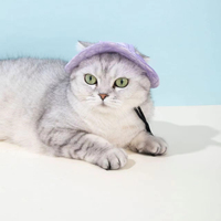 Chapeaux pour animaux de compagnie, pare-soleil, chapeaux anti-étranglement pour chiens, chapeaux de pêcheur ajustables à oreilles apparentes, chapeaux pour chats, fournitures pour animaux de compagnie