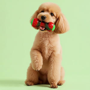 Giocattolo per cani dai colori natalizi-Stick da masticare a forma di bilanciere a forma di palla elastica giocattolo interattivo per animali domestici - Product Image 3