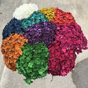 Hortensia Roja de Hoja Grande y Doble Flor, Tamaño Personalizado, Decoración de Boda, Conservada para Siempre, Superventas en Kunming Ruipu - Product Image 2