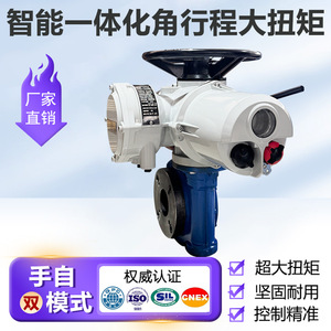 Actuador Eléctrico Leicester de Carrera Angular y Alto Torque para Control de Válvulas Industriales - Product Image 4
