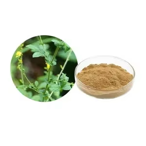 Extracto Líquido de <span class=keywords><strong>Agrimonia</strong></span> <span class=keywords><strong>Eupatoria</strong></span> de Alta Concentración, Antiinflamatorio, Calmante para Piel Sensible, Proveedor de Materia Prima - Product Image 2