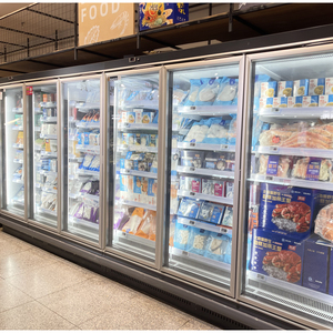 Congélateur vertical à porte vitrée de type Renote pour supermarché, refroidissement par air, pour la présentation d'aliments surgelés, avec certification CE - Product Image 6