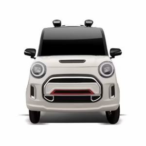 รถยนต์ไฟฟ้าขนาดเล็ก 4 ล้อ รุ่นใช้งานเบา พร้อมแบตเตอรี่ลิเธียม เบาะหนัง ขับเคลื่อนล้อเดียว กล้องมองหลัง-FSL S670 - Product Image 1