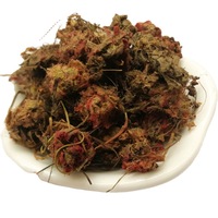 Tanaman Kering Jin Di Luo Tropical Sundew China Drosera Burmanni untuk Herbal