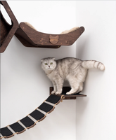 Étagère murale d'escalade pour chat, plateforme de saut, mobilier écologique pour animaux de compagnie, échelle murale d'escalade, étagère en bois pour chat