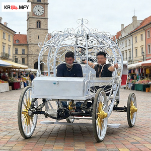 Carroza Eléctrica de Lujo para Bodas, Fabricada por Royal Manufacturer, de Alta Calidad, 150-250HP - Product Image 2