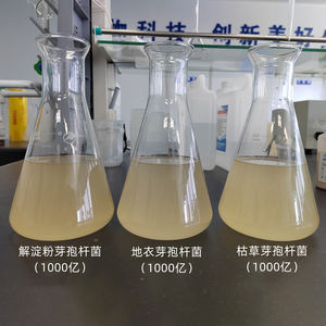 Produzione professionale fornitura di Bacillus Coagulans probiotici 1 Kg marrone Shandong Brahman bovini per la promozione della digestione dei pesci - Product Image 6