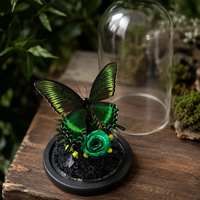 Cloche en verre papillon émeraude avec spécimen réel préservé, rose botanique, décoration de luxe pour bureau, maison, mariage, cadeau