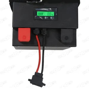 OEM 12V 24V 48V 72V 52ah 100Ah 200AH 300ah 400ah xe máy Golf giỏ hàng LiFePO4 Lithium sắt Phosphate Pin