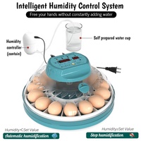 Capacité de 15 œufs Mini incubateur d'œufs entièrement automatique avec plateaux
