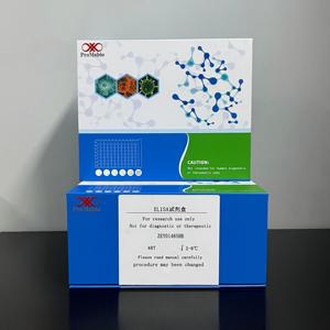 인간 VEGFA (혈관내피세포 성장인자 A) 샌드위치 <span class=keywords><strong>ELISA</strong></span> 검출 키트 48T/96T 고순도 99% - Product Image 2