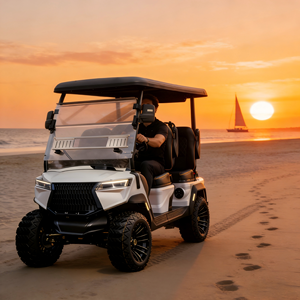 新型设计沙滩多功能车，低速车，具有适应沙滩环境的能力，适合海滩作业 - Product Image 1