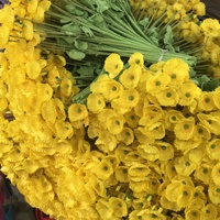 Fleurs artificielles en soie Yu Meiren Poppy, technique de flocage - Style moderne minimaliste réaliste, décoration de mariage et de maison, couleur personnalisée
