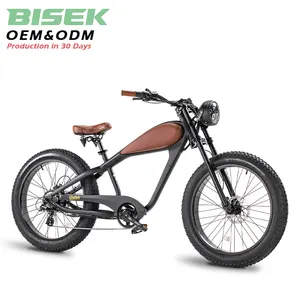 OEM Hot Sale 750W Vintage Cafe Racer Electric Bike Retro Cruiser Fat Tire Mountain Dirt City Road Ebike E Bike Bicycle With CE