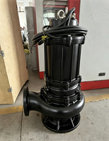 Bomba de Aguas Residuales Industrial SQHB WQD de 2HP, 220V, Monofásica, de Hierro, de Alta Presión, Totalmente Automática, para Limpieza de Tanques Sépticos y Piscinas