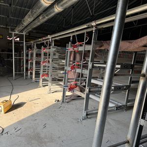 Équipement de cage à <span class=keywords><strong>poules</strong></span> <span class=keywords><strong>pondeuses</strong></span> de type H de haute qualité avec acier galvanisé à chaud, <span class=keywords><strong>abri</strong></span> et enclos multifonctionnels - Product Image 6