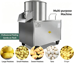 Équipement commercial de pelage de pommes de terre haute capacité 300 kg/h, machine à peler les pommes de terre mobile, à vendre - Product Image 1