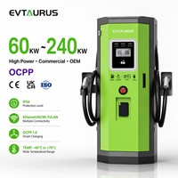Nouvelle station de recharge rapide pour voitures électriques CCS2 GBT NACS Tesla Byd 180 kW 240 kW 300 kW IP54 RFID avec système de paiement par carte de crédit