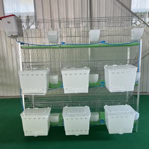 <span class=keywords><strong>Cage</strong></span> de ferme de lapin galvanisée à chaud de style européen à 18 cellules à 3 niveaux de type H avec une durée de vie de plus de 10 ans Nouveau <span class=keywords><strong>design</strong></span> industriel à vendre - Product Image 5