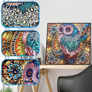 Peinture Diamant Animaux Hibou Cartoon 5D Forme Spéciale Cristal Diamant DIY 30x30 - Product Image 3