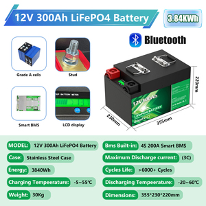 Batteria LiFePo4 12V 300Ah con 6000 Cicli Profondi, Pacco Batteria agli Ioni di Litio/Fosfato di Ferro per Uso Marino/Camper - Product Image 2
