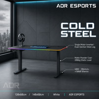 Bureau de jeu AOR RGB, bureau électrique réglable en hauteur, bureau d'ordinateur LED, table de jeu assis-debout, bureau PC, vente en gros d'usine