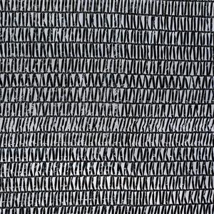 Đen Chất lượng cao HDPE vườn <span class=keywords><strong>Shade</strong></span> <span class=keywords><strong>Net</strong></span> 160GSM 3m * 3m cho nông nghiệp <span class=keywords><strong>Shade</strong></span> <span class=keywords><strong>Net</strong></span> - Product Image 2