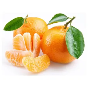 Pelador de piel de naranja mandarín automático, 1000kg/hora