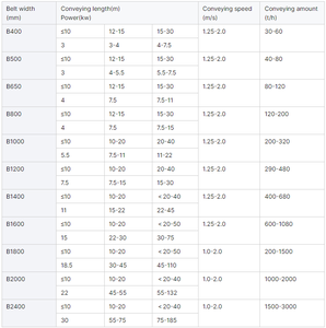 Meksika gümüş/florit/kurşun kırma tesisi enerji tasarrufu madencilik taşıma makinesi bant konveyör - Product Image 6
