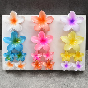Ladies Hair Accessories Multi <strong>Color</strong> Versatile Bulk Claw <strong>Clips</strong> for Girl Fashion Flower Resin Jewellery Manufacturer ALN25123188 - Product Image 2