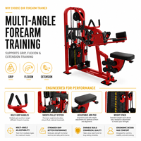 Fournisseur Professionnel d'Équipements de Fitness Haut de Gamme de Luxe, Machine pour les Avant-bras Certifiée CE, Tube en Acier Q235, Bodystorm DB151A