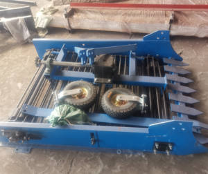 Récolteuse <span class=keywords><strong>de</strong></span> pommes <span class=keywords><strong>de</strong></span> <span class=keywords><strong>terre</strong></span> agricole, tracteur PTO Drive Sweet Potato Digger Harvester Machine en <span class=keywords><strong>vente</strong></span> - Product Image 6