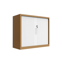 Armoire de classement métallique moderne, durable et écologique à 2 portes, verrouillable, avec porte à volet roulant latéral, pour appartement et salon