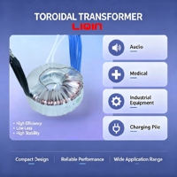 Transformateur toroïdal monophasé 220V 110V 24V CA à sortie enroulée en cuivre pour alimentation stéréo, faible bruit, haute efficacité