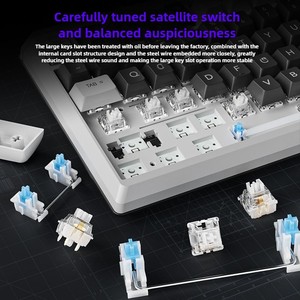 Bàn phím cơ học Có Dây Langtu T98 Bàn phím chuyên dụng văn phòng chơi game không xung đột có thể tùy chỉnh phím đầy đủ có thể tráo đổi nóng - Product Image 4