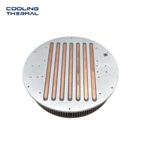 Pelat Dingin Cair Aluminium yang Dilas dengan Teknik Friction Stir Welding, Dibuat dengan Mesin CNC untuk Pendinginan Chip Pusat Data Server OEM