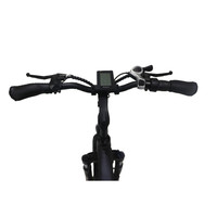 Tricycle électrique pour adulte, moto, Cargo, 250 w, offre spéciale