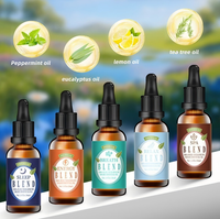 Huile Essentielle Pure à 100% pour Massage et Diffuseur, Mélange SPA, 30ml, Marque Privée OEM/ODM