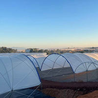 Prix bon marché Multi Span Poly Tunnel Green House pour potager utilisé pour la vente